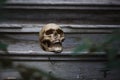 The skull of a man lying on the steps of an old wooden staircase, illuminated by light.