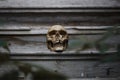 The skull of a man lying on the steps of an old wooden staircase, illuminated by light.