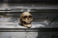 The skull of a man lying on the steps of an old wooden staircase, illuminated by light.