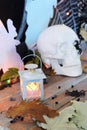 Skull, mystical decor, illumination, decorative lantern, autumn leaves on a wooden table