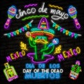 Skull neon sign. Day of the Dead Dia de Muertos . Neon sign, bright signboard, light banner. Cactus in sombrero in neon style Royalty Free Stock Photo