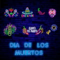 Neon Mexican icons. Icon from Cinco De Mayo. Mexico neon sign. Day of the Dead Dia de Muertos . Neon sign, bright Royalty Free Stock Photo