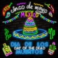 Skull neon sign. Day of the Dead Dia de Muertos . Neon sign, bright signboard, light banner. Cactus in sombrero in neon style Royalty Free Stock Photo