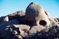 Skull Rock formation in Joshua Tree National Park Royalty Free Stock Photo