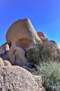 Skull Rock - Joshua Tree National Park Royalty Free Stock Photo