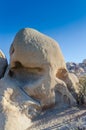 Skull Rock - Joshua Tree National Park Royalty Free Stock Photo