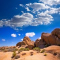 Skull rock in Joshua tree National Park Mohave California Royalty Free Stock Photo