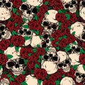 Skull rose background