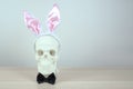 Skull sculpture with pink bunny ear headbands and a black bow tie. symbol Happy Easter holiday background concept. Free space for