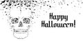 Skull, bats - Happy Halloween Royalty Free Stock Photo
