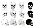 Skull sides. Front and side views drawn skull collection for evolution cemetery death medical tattoo concepts, human