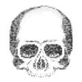 Skull Silhouette from Numbers 0 and 1. ASCII Art. Computer Virus, Hacking, DDOS and Spam Concept