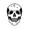 Skull skeleton on a white background