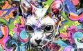 Sphynx cat in colorful paint splashes, paint splashes art design Royalty Free Stock Photo