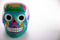 Mexican Skull, Mexican art, skull painting