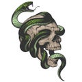 Skull with snake illustration Royalty Free Stock Photo