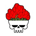 Skull vase with flowers isolated. Skeleton Head and Roses. Vector illustration Royalty Free Stock Photo