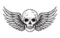 Skull and wings in engraving style