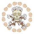 Skull in a wreath of cotton buds with crossed cotton branches. Isolated vector objects. Royalty Free Stock Photo