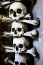 Skulls and bones Royalty Free Stock Photo