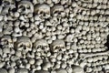 Skulls and bones Royalty Free Stock Photo