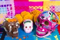 Skulls Day of the dead celebration