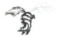 Skunk Royalty Free Stock Photo