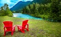 Skunk Cabbage Boardwalk Trail British Columbia Royalty Free Stock Photo