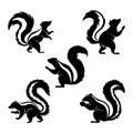 Skunk silhouette set vector illustrations
