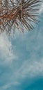 Sky above blue earth leaf clouds sunset