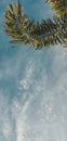 Sky above blue earth leaf clouds sunset