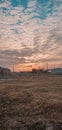 Sky above blue earth leaf clouds sunset Royalty Free Stock Photo