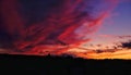 Sky above the city covered with pink colors during the sunset Royalty Free Stock Photo