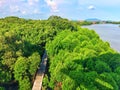 Sky alone freedom wind could mangroveforest mangroves forest woodbride river conserve viewpoint green tree nature fresh relax Royalty Free Stock Photo