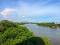 Sky alone freedom wind could mangroveforest mangroves forest woodbride river conserve viewpoint green tree nature fresh relax Royalty Free Stock Photo