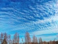 Sky background with clouds . Sky with clouds