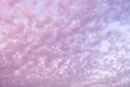 Sky background, coudy sky abstract background, sun above the horizon Royalty Free Stock Photo