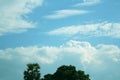 Sky background and top of trees Royalty Free Stock Photo