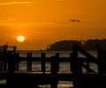 Sky With a Ball of Fire and a Bird Royalty Free Stock Photo