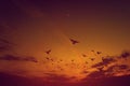 sky Beautiful orange sunset sky Nature that is still beautiful Royalty Free Stock Photo