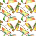 Sky bird colibri in a wildlife. Watercolor background illustration set. Seamless background pattern.