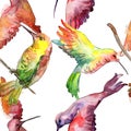 Sky bird colibri in a wildlife. Watercolor background illustration set. Seamless background pattern.