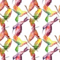 Sky bird colibri in a wildlife. Watercolor background illustration set. Seamless background pattern.