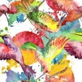 Sky bird colibri in a wildlife. Watercolor background illustration set. Seamless background pattern.