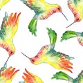Sky bird colibri in a wildlife. Watercolor background illustration set. Seamless background pattern.