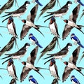 Sky bird Swallows pattern in a wildlife by watercolor style.
