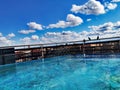 Sky birds swimming pool life