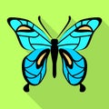 Sky blue butterfly icon, flat style Royalty Free Stock Photo