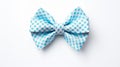 Sky Blue Gingham Bow: Father\'s Day Beadwork Gift