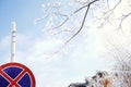 sky blue tree branch cold day architecture detail outdoor road city